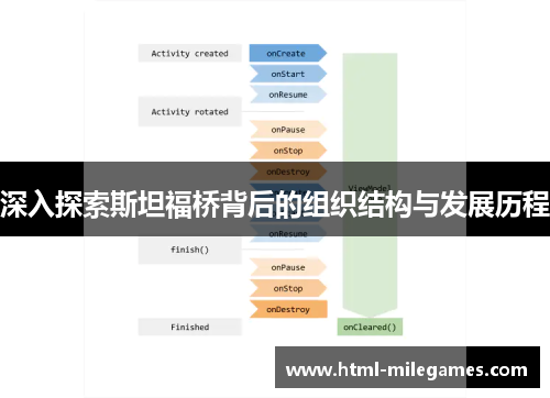深入探索斯坦福桥背后的组织结构与发展历程