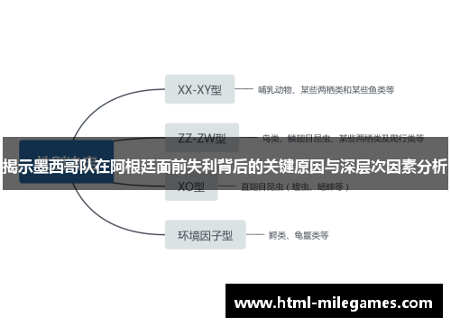 揭示墨西哥队在阿根廷面前失利背后的关键原因与深层次因素分析