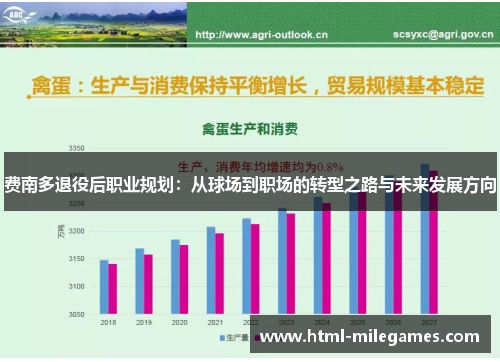 费南多退役后职业规划:从球场到职场的转型之路与未来发展方向 费南多退役后职业规划:从球场到职场的转型之路与未来发展方向